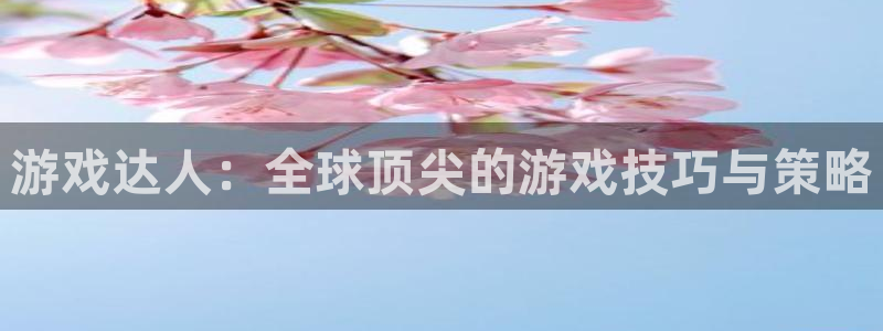 沐鸣2年费是多少：游戏达人：全球顶尖的游戏技巧与策略