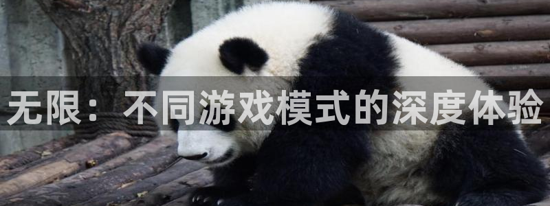 沐鸣2首页登录：无限：不同游戏模式的深度体验