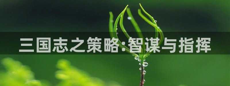 沐鸣2集团：三国志之策略:智谋与指挥