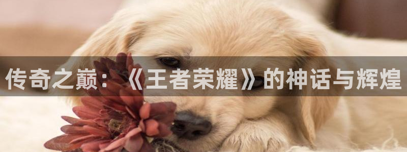 沐鸣2测速登录：传奇之巅：《王者荣耀》的神话与辉煌