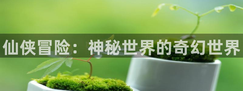 沐鸣2客服：仙侠冒险：神秘世界的奇幻世界