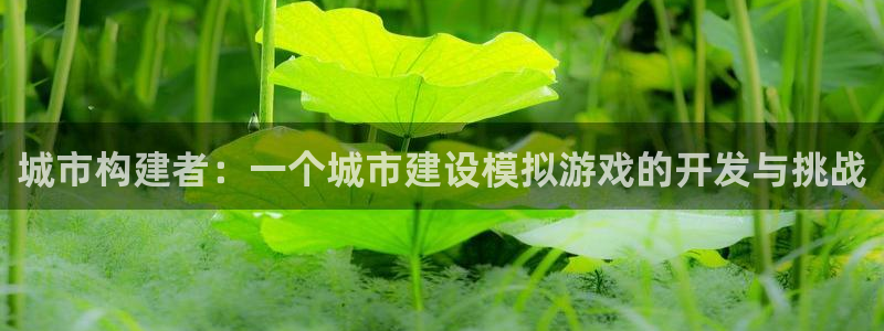 沐鸣2平台首页：城市构建者：一个城市建设模拟游戏的开发与挑战