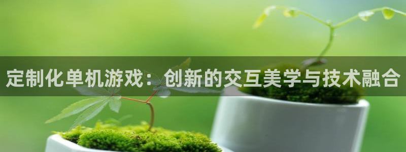 沐鸣2注册平台：定制化单机游戏：创新的交互美学与技术融合