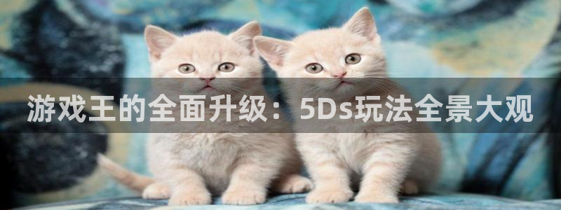 沐鸣2app官方下载最新版本功能介绍：游戏王的全面升级：5D