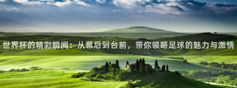 山猫免费直播：世界杯的精彩瞬间：从幕后到台前，带你领略足球的魅力与激情