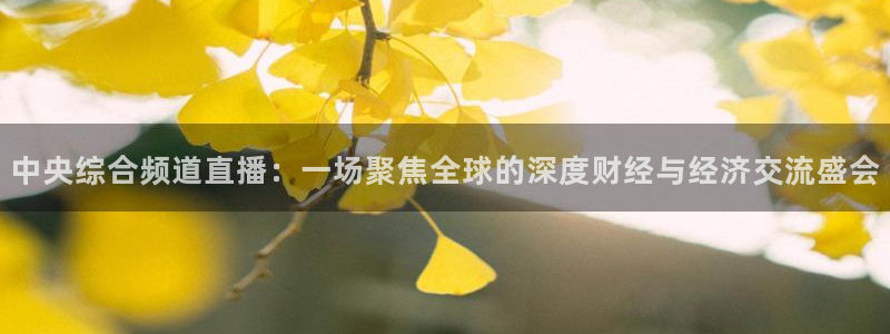 山猫足球免费直播：中央综合频道直播：一场聚焦全球的深度财经与经济交流盛会