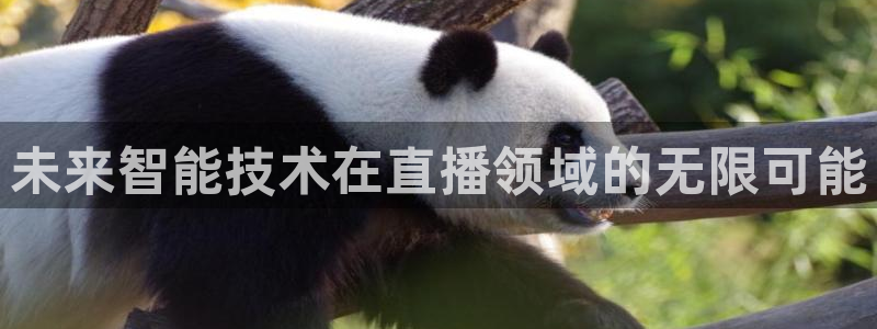 山猫体育赛事直播：未来智能技术在直播领域的无限可能