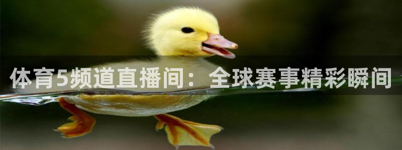 山猫体育直播节目表：体育5频道直播间：全球赛事精彩瞬间