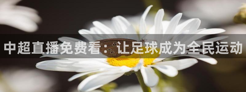 山猫体育赛事直播苹果版下载：中超直播免费看：让足球成为全民运动