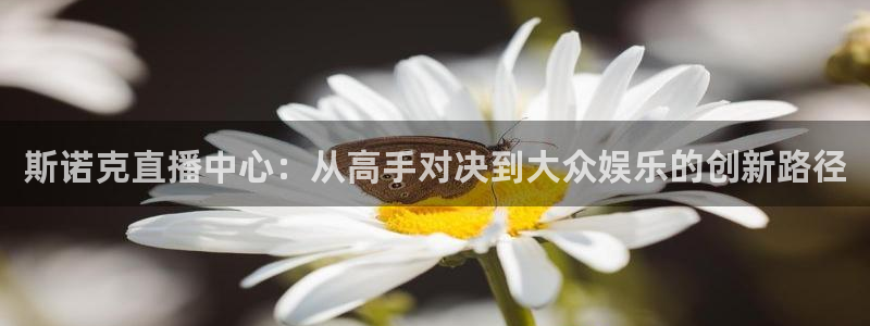 山猫体育直播在线：斯诺克直播中心：从高手对决到大众娱乐的创新路径